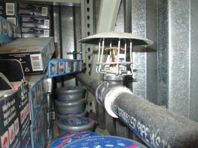 (9) In-rack sprinkler and draft curtains