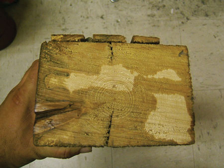 (2) A piece of “slow-growth” wood from a braced frame building built in the 1870s. The rings are tight. There is very little moisture in this wood.