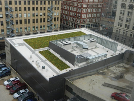 (4) A rooftop garden with access pathways to facilitate access and ventilation.