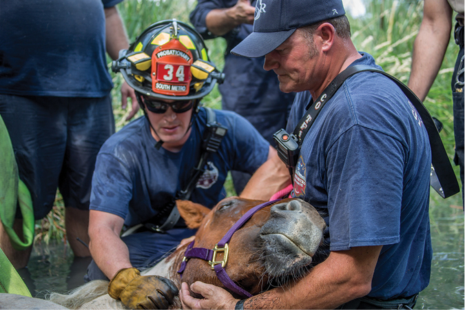 (3) Although HIPPA prevents us from sharing the emotion and compassion that firefighters have for the people they protect, we can share images of animals that need help. Our community wants to connect with the people who make the fire department what it is, and sharing raw emotion is one of the best ways to do it, #SavingCupCake.