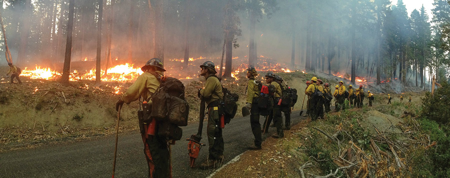 Panorama of the Geronimo Interagency Hotshot Crew as they keep watch on their burnout along a forest road. The Geronimo Hotshots are from the San Carlos Apache Tribal Natural Resources Program in San Carlos, Arizona. (USDA photo by Lance Cheung.)