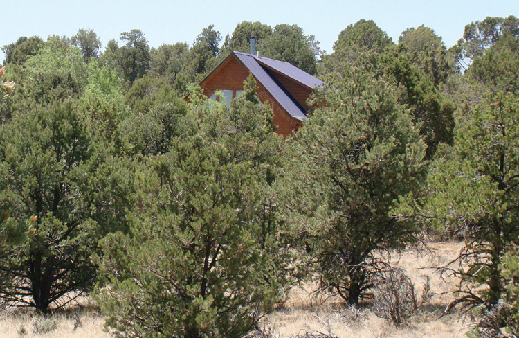 Preplanning should include an assessment of defensible space for structures within the wildland urban interface (WUI). (Photos by author.) 