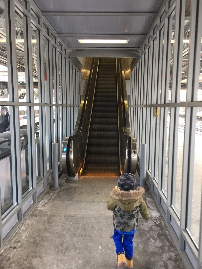 Elevators and escalators transport millions every day. Most elevator incidents involve passengers stuck in a stalled car. Escalator incidents usually involve entanglement of clothing, falls, and hand and foot entrapments, especially with children. (Photos by Brian Butler unless otherwise noted.) 