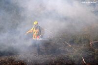 Firefighter operating in brush fire smoke