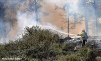 Firefighters apply water at brush fire