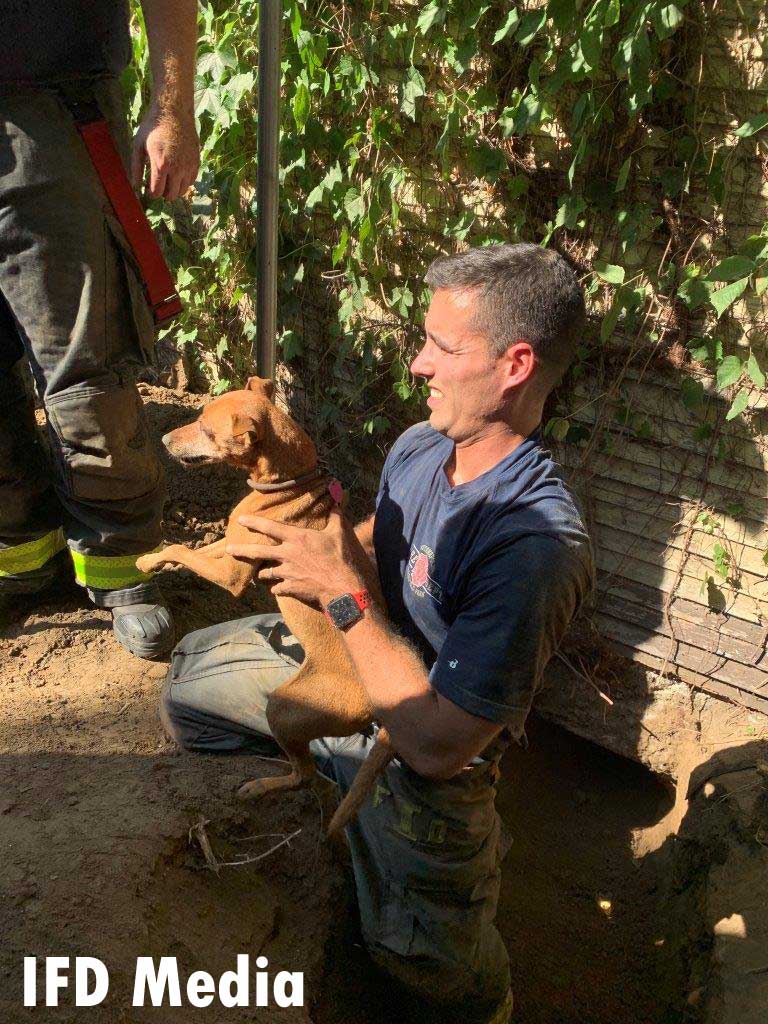 Indy firefighter with rescued dog