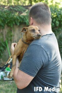 Dog reunited with family member