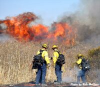 Flames rage in the background as LAFD firefighters work