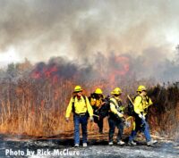 LAFD firefighters at vegetation fire