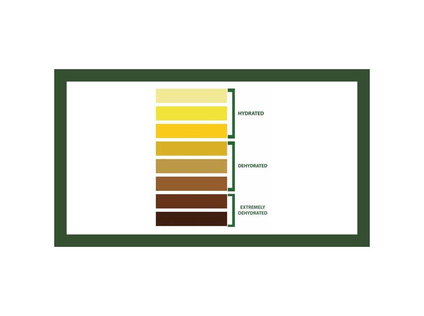 Firefighter dehydration chart