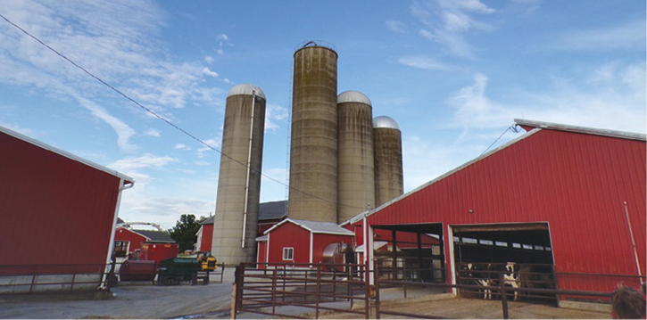 Grain silos