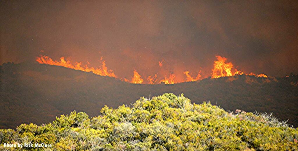 Line of fire across a hillside during the Palisades Fire in California