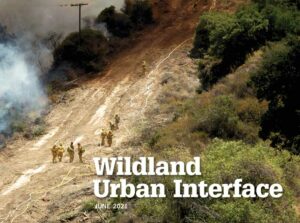 Wildland firefighters with smoke wafting across the landscape