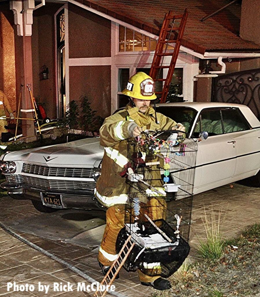 Firefighter rescues birds in a cage at fire