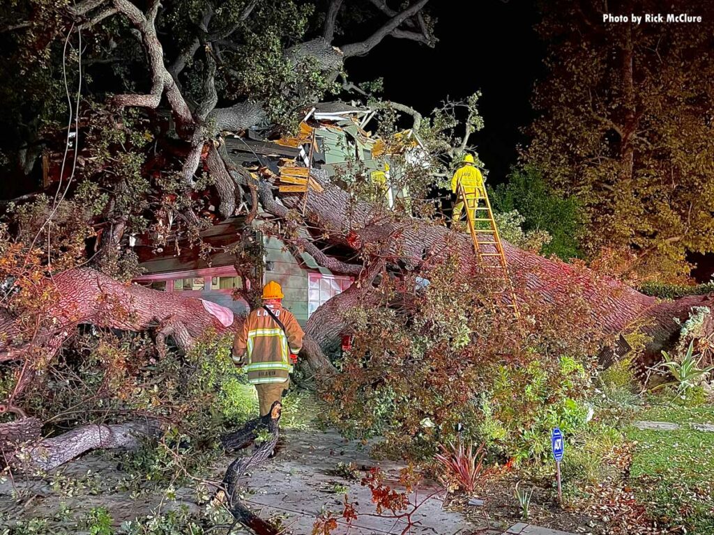 Massive oak tree fell on home in Los Angeles