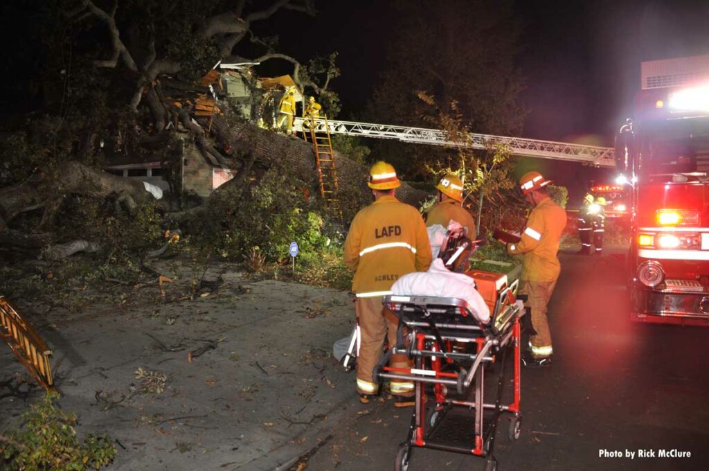 LAFD staged at fallen tree in Encino