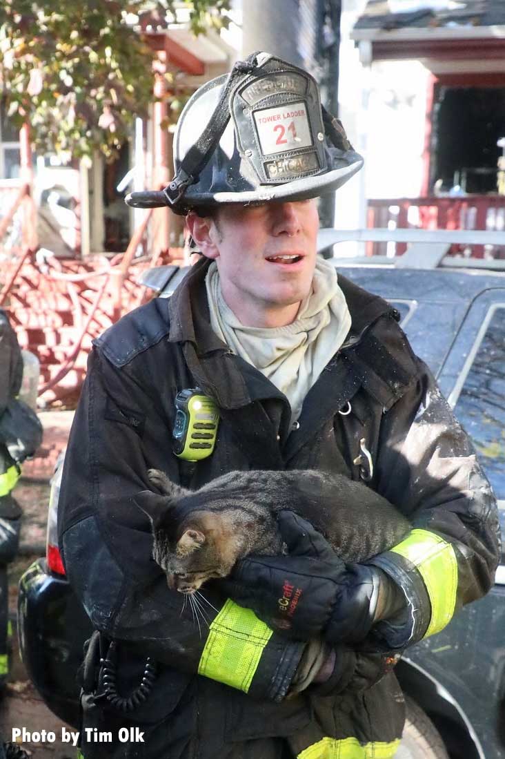 Chicago firefighter rescues cat