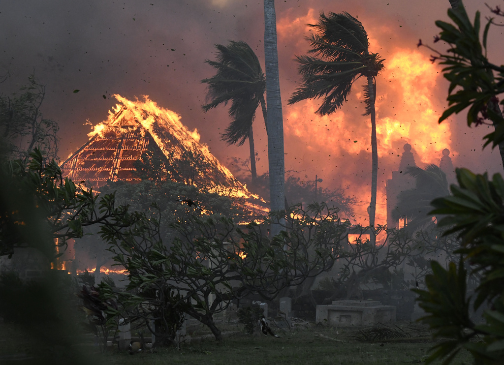 Hawaii fires