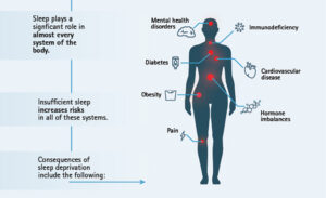 biohackng circadian rhythms