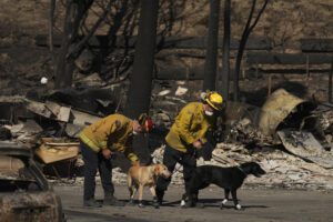 firefighters working